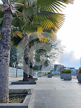 view of a street in the Citraland Gama City complex, Medan