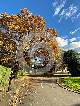 View on the street in Greenhill Area, Sheffield, UK.