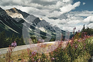 View of street highway with flowers and mountains and trees with blue sky and clouds. Banff National Park Canada Rocky