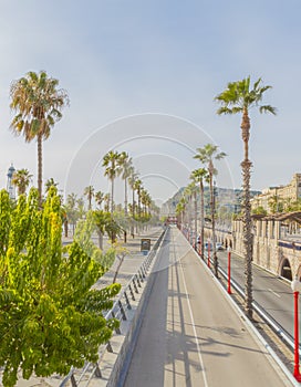 View of the street Ronda del Litoral with palm trees photo