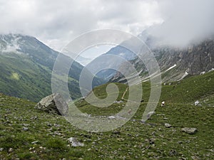 View on Stubaital Valley and alpine meadow with grazing cows at Stubai hiking trail, Stubai Hohenweg, Alpine landscape