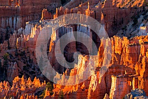 view of stunning red sandstone hoodoos in Bryce Canyon National Park in Utah, USA