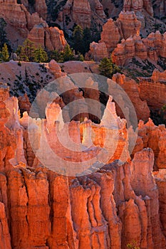 view of stunning red sandstone hoodoos in Bryce Canyon National Park in Utah, USA