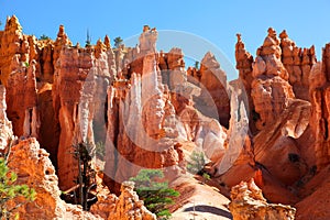 Stunning rock formations and ponderosa pines in Bryce Canyon National Park