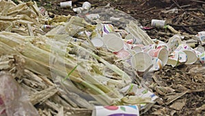 A view of sugarcane bagasse or residue and paper cups thrown on the roadside