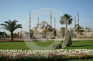 View of Sultanahmet (Blue) Mosque in Istanbul photo