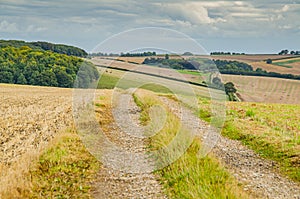 View of summer countryside with farm track