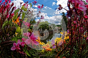 View through summer flowers to historic landmark at river in spa town Bad Kissingen