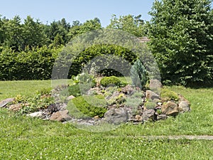 View on summer garden with beautiful rock garden with various alpine, rock plants, decorative grass and conifers and many other