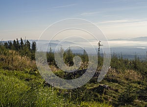 View of summer morning mountains, blue misty slopes of mountains in the distance. Tall pine trees and coniferous forest