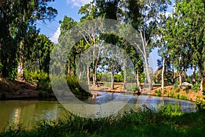 View of summer park Yarkon