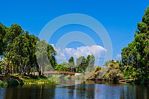 View of summer park Yarkon