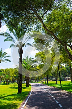 View of summer park Yarkon