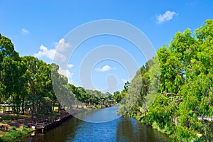 View of summer park Yarkon
