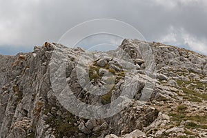 View of the summit of monte Sirente in Abruzzo with cloud photo