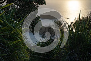 View from summit Mount Maunganui at sunrise