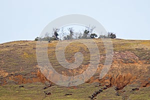 View of the summit of the Poike volcano along the east coast of Easter Island. Easter Island, Chile