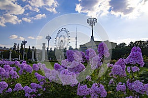 view on Sun of Moscow is a giant ferris wheel in VDNKh park