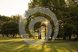 View of the sun`s rays through the trees, Latvia, Europe