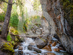 View of Sundance Canyon near Banff in Banff National Park, Alberta, Canada