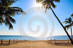 View of sunny day tropical beach with palm trees and fence