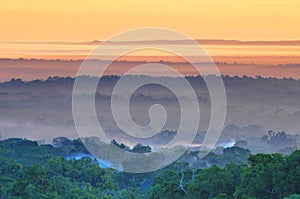 View of a sunrise above the Peten jungle with the pyramids of Tikal towering above the tree canopy in Guatemala