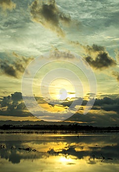 View of Sunrise and clouds in the sky by the river