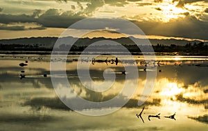 View of Sunrise and clouds in the sky by the river