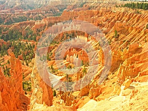 View from Sunrise Point, Bryce Canyon National Park photo