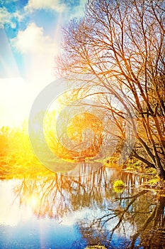 view on sunrise on small river in leafless forest instagram stile