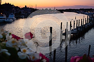 View of sunset over canal in focus with soft flowers in foreground