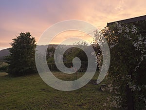 View of sunset at summer garden with trees and flowers and tiber wooden gazebo pergola with vivid sunset sky and forest