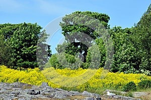 View from Suomenlinna fortress, Finland