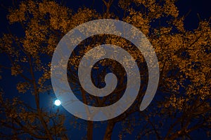 View of 20/01/19 supermoon prior to lunar eclipse