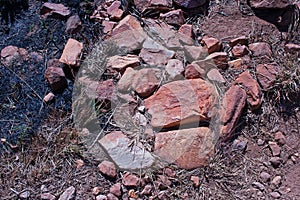 PATCH OF CHARRED GRASS AFTER A VELD FIRE