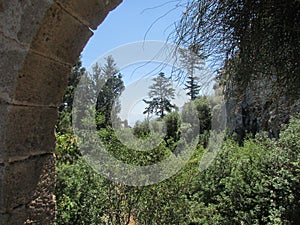 View of the surrounding forest from the Templar fortress, 12th century, northern Cyprus.