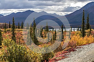 View of the Susitna River along the Denali Highway, Alaska