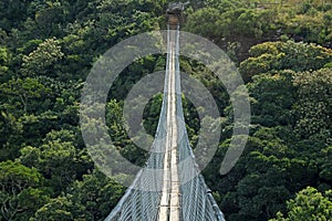 VIEW OF SUSPENSION BRIDGE OVER TREES IN ORIBI GORGE