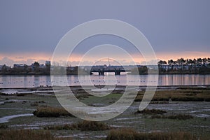 View of swamp with bridge and buildings background during sunset