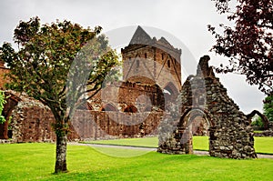 View of Sweetheart Abbey, Dumfries and Galloway photo