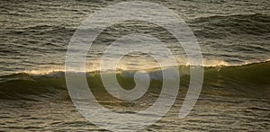 LIGHT ON EDGE OF CRESTING WAVE