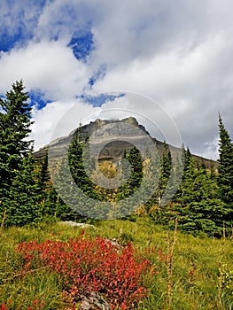 View from Swiftcurrent Trail in Many Glacier