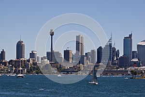 View of sydney city skyline from harbor