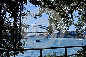 A view of the Sydney Harbor Bridge from Mrs Macquaries Chair