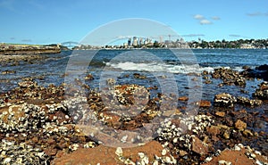 View of Sydney skyline in daytime from Woolwich