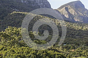 View on table mountain from Kirstenbosch, Cape Town