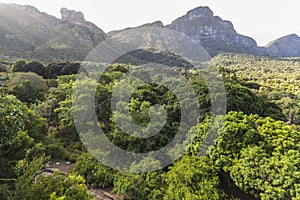 View on table mountain from Kirstenbosch, Cape Town