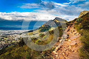 View of Table Mountain from Kloof Corner hike at sunset in Cape Town, western Cape, South Africa