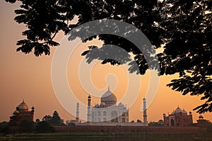 View of Taj Mahal framed by a tree crown at sunset, Agra, Uttar