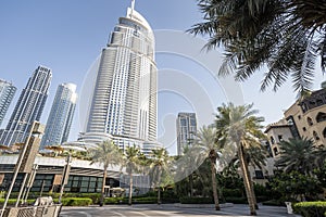 View on tall houses and palm trees in Dubai city center from park near by, Dubai, United Arab Emirates